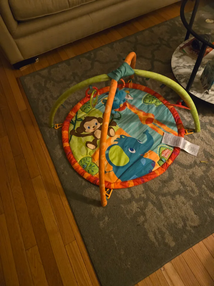 Bright Starts Activity Gym Play Mat thumbnail