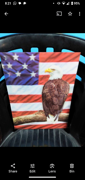 art print 3dUSA americana eagle  unframed