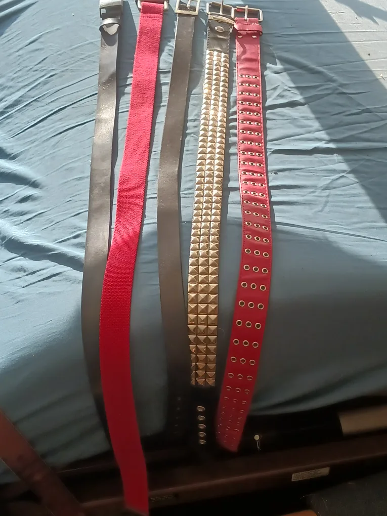 Assorted Belts - Variety of Styles & Sizes image indicator(2)