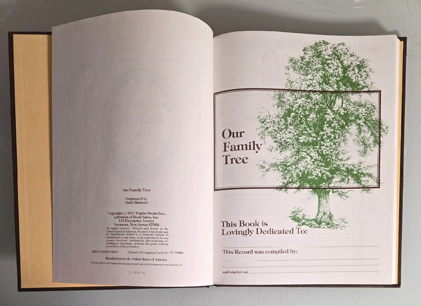 1977 Our Family Tree: A History of Our Family image indicator(3)