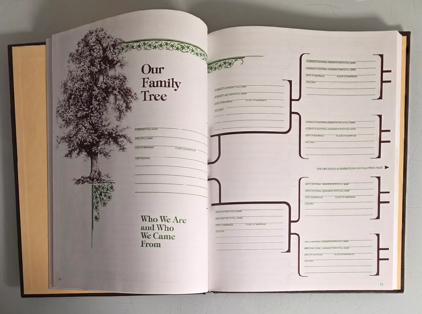 1977 Our Family Tree: A History of Our Family image indicator(4)