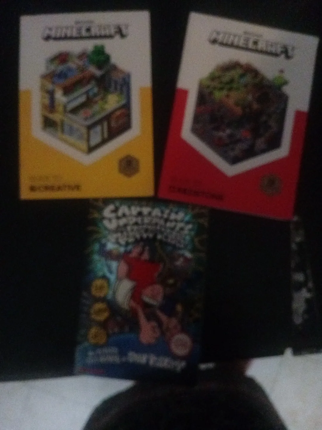 Minecraft & Captain Underpants Books thumbnail