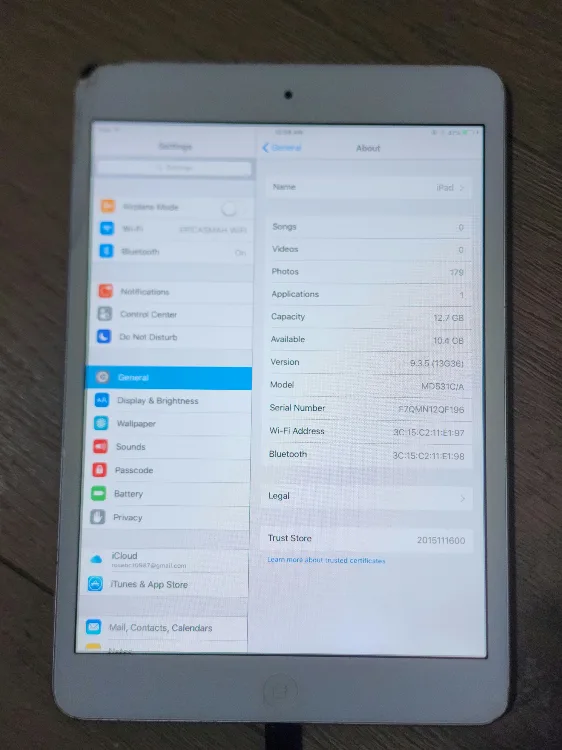 Apple iPad Mini image indicator(4)