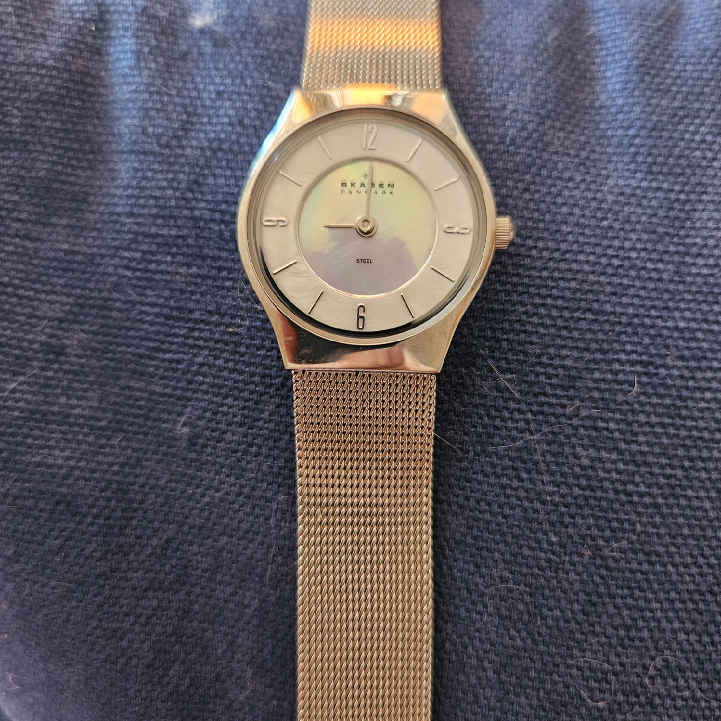Ladies Skagen-Denmark-Steel Mesh Watch