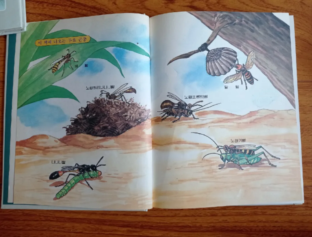 프뢰벨 시트 파브르 선집 곤충기 image indicator(3)