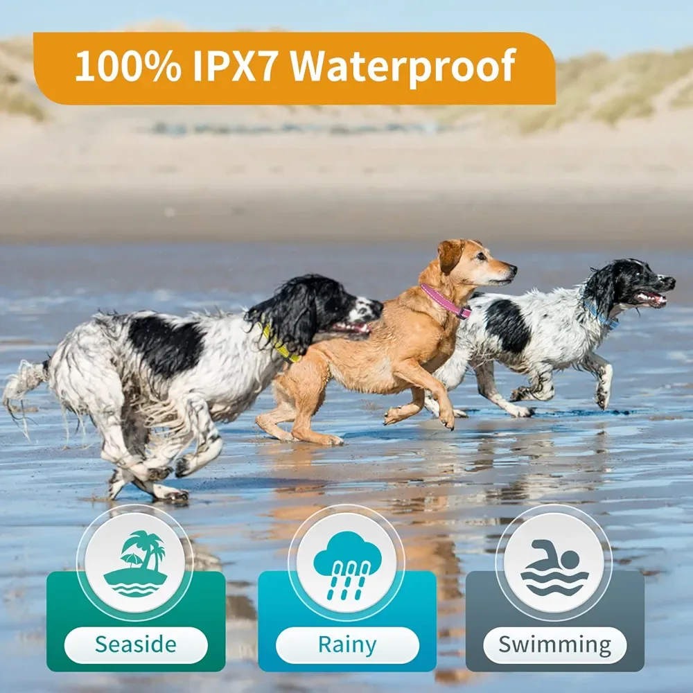 PetLoX Dog Training Collar with Remote image indicator(4)