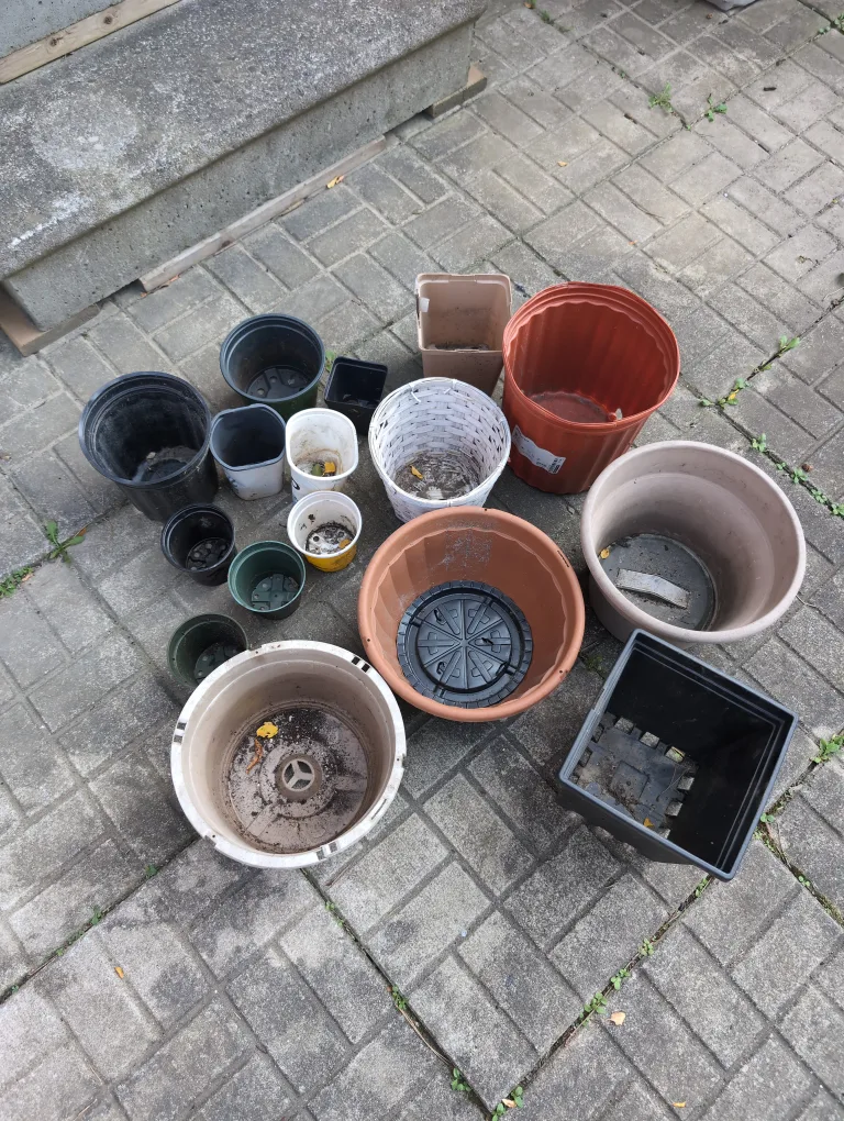 lot of planter pots thumbnail