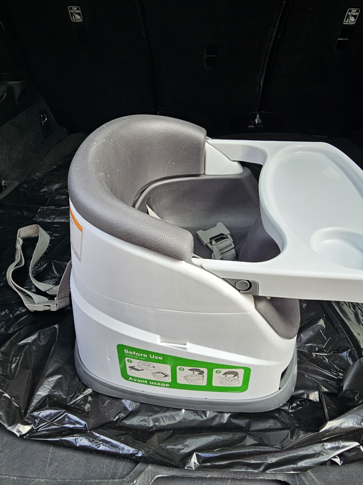 ingenuity baby seat 2 in 1 - photo 3