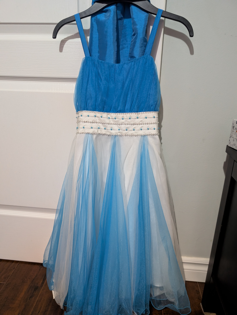 Blue & White Dress - photo 2