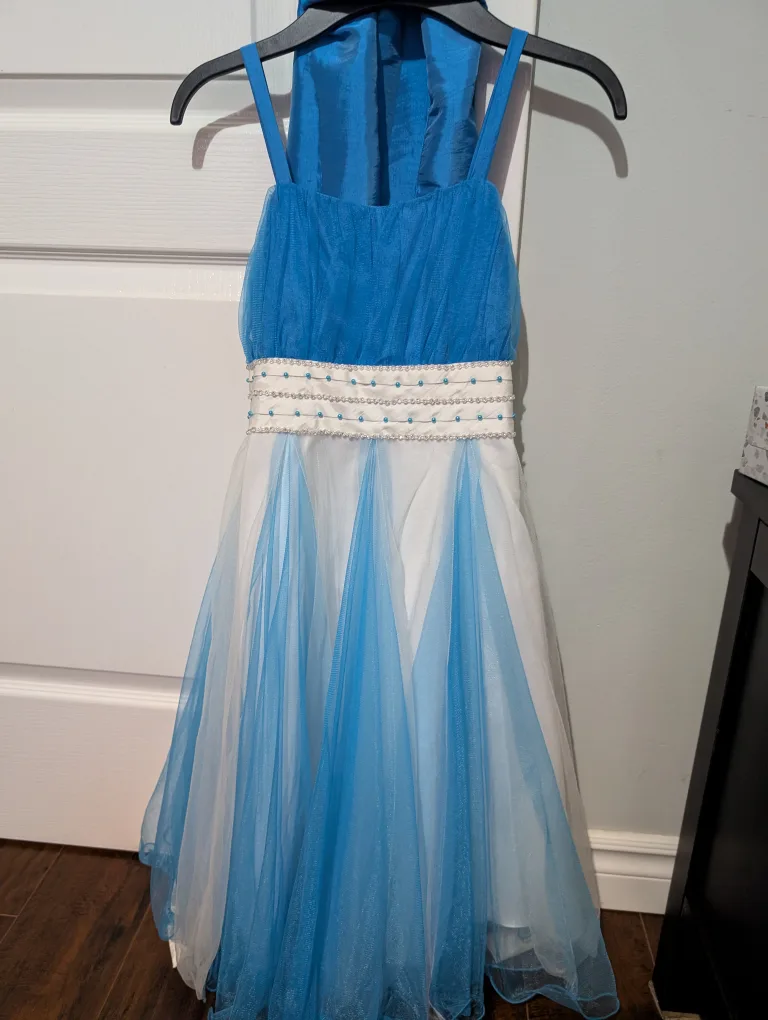 Blue & White Dress image indicator(2)