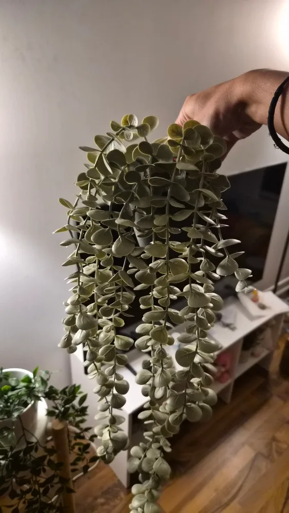 Artificial Hanging Plants image indicator(2)