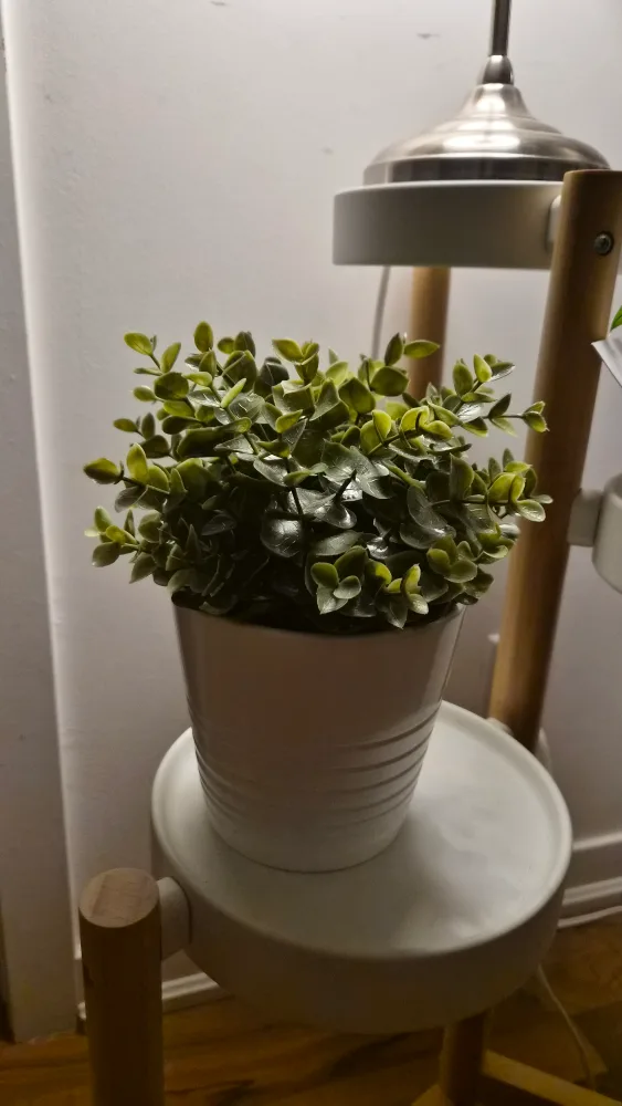 Artificial Hanging Plants image indicator(4)