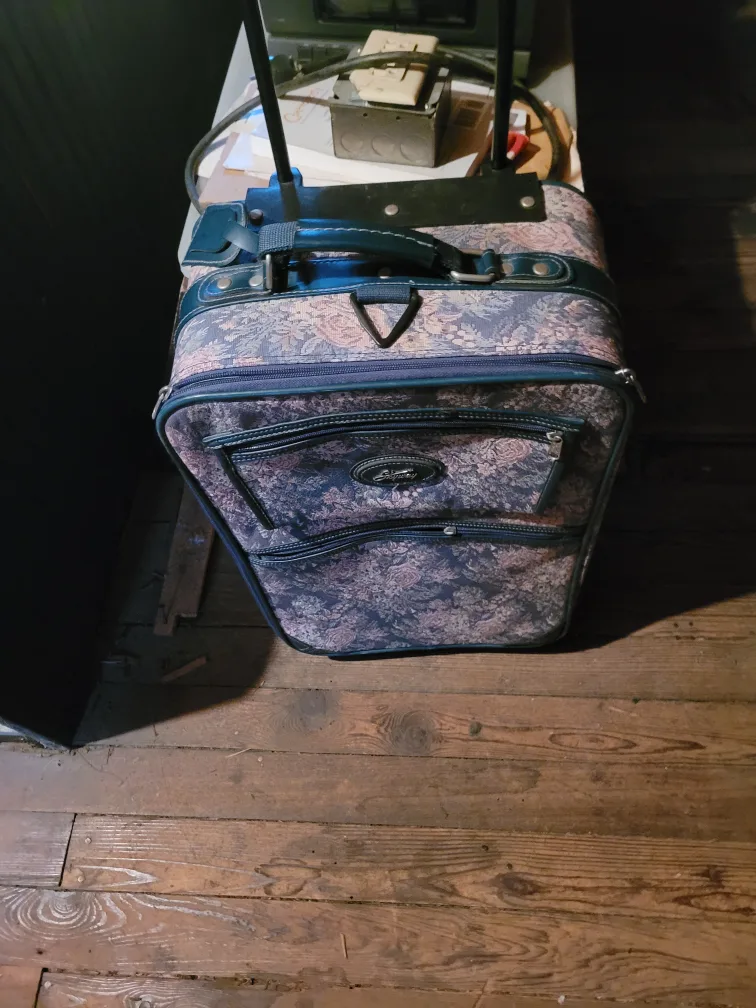 Skyway Floral Pattern Carry-On Suitcase image indicator(3)