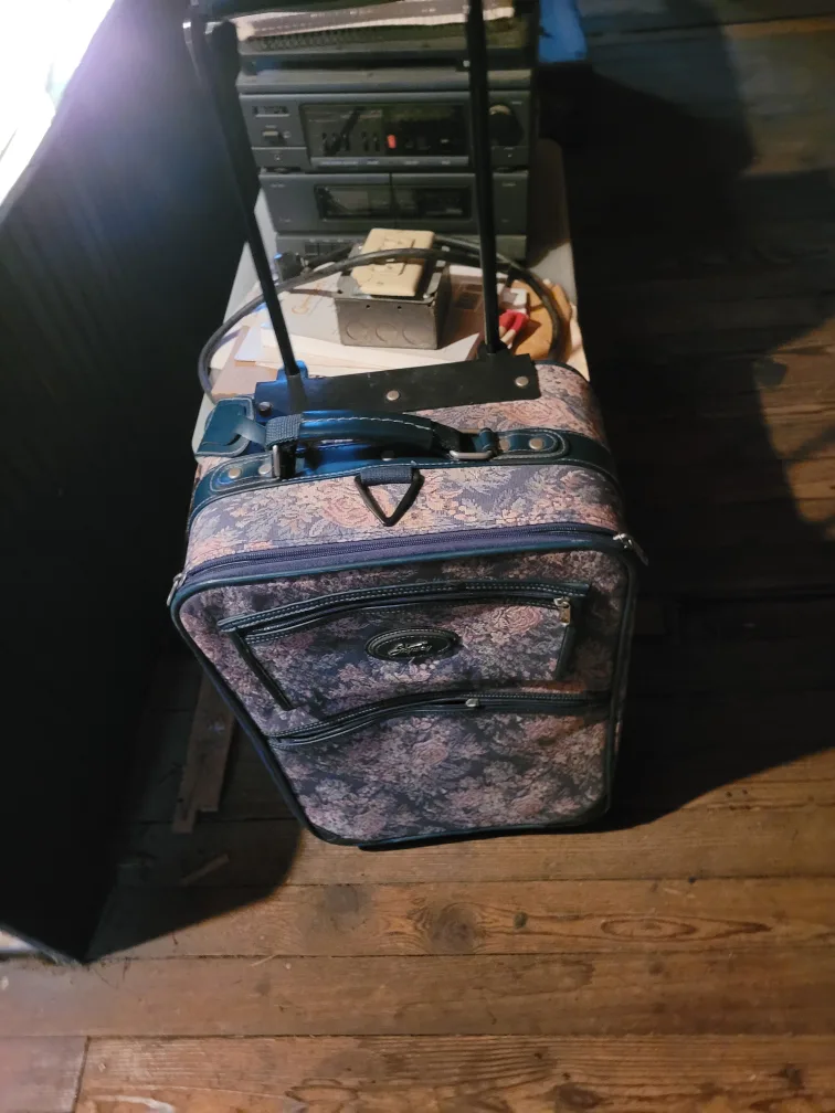 Skyway Floral Pattern Carry-On Suitcase image indicator(4)