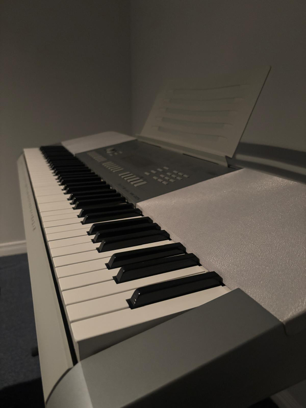 Casio WK-225 Keyboard with Stand - photo 3