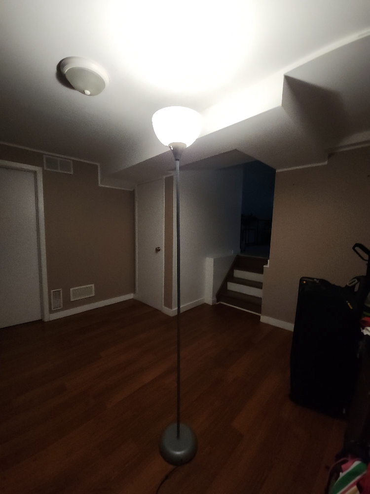 Standing Floor Lamp