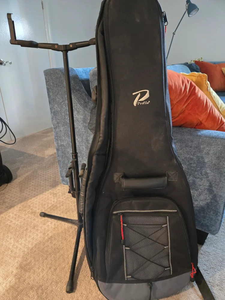 Profile Guitar Gig Bag - Black thumbnail