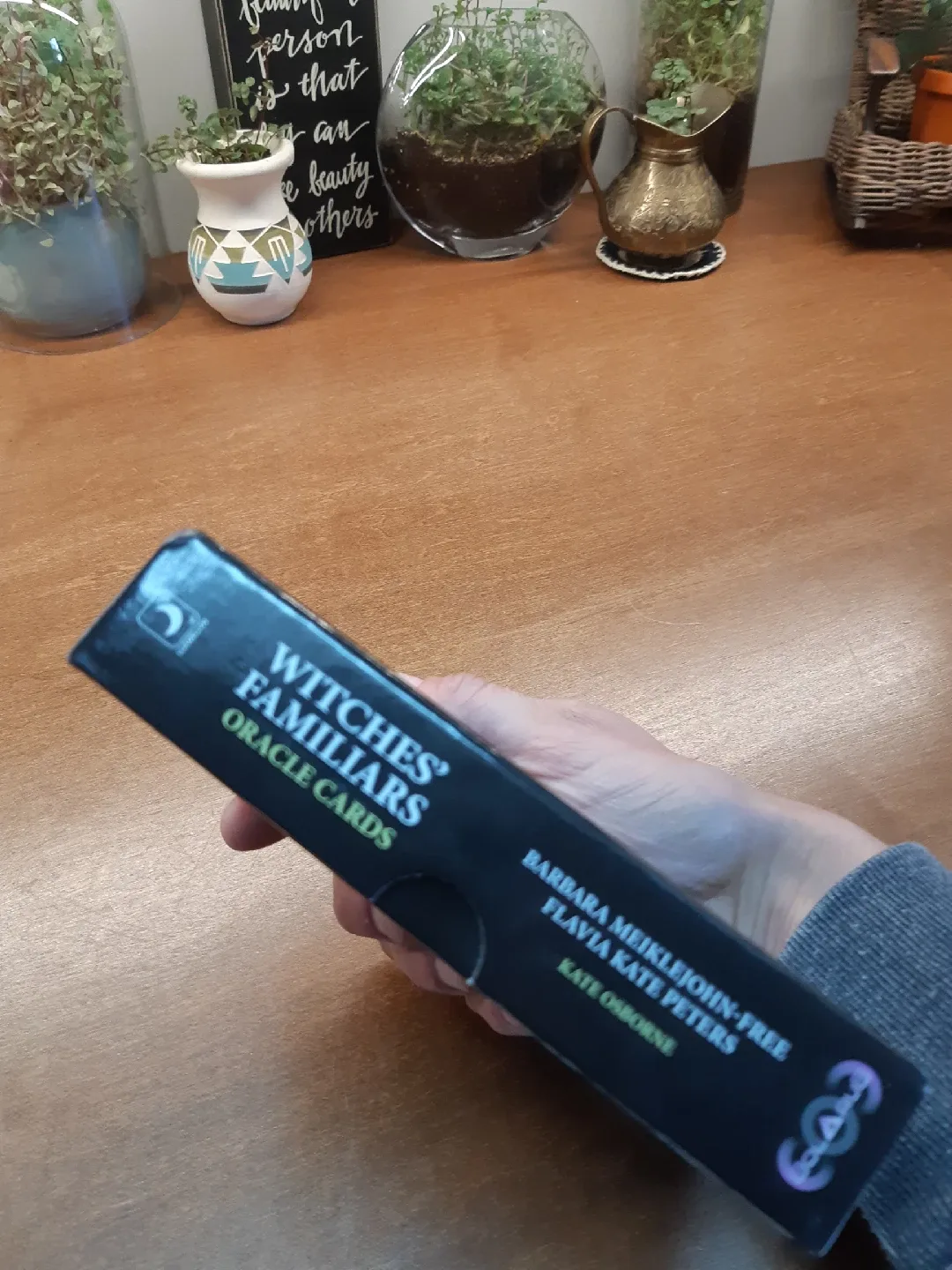 "Witches' Familiars Oracle Cards" deck image indicator(7)