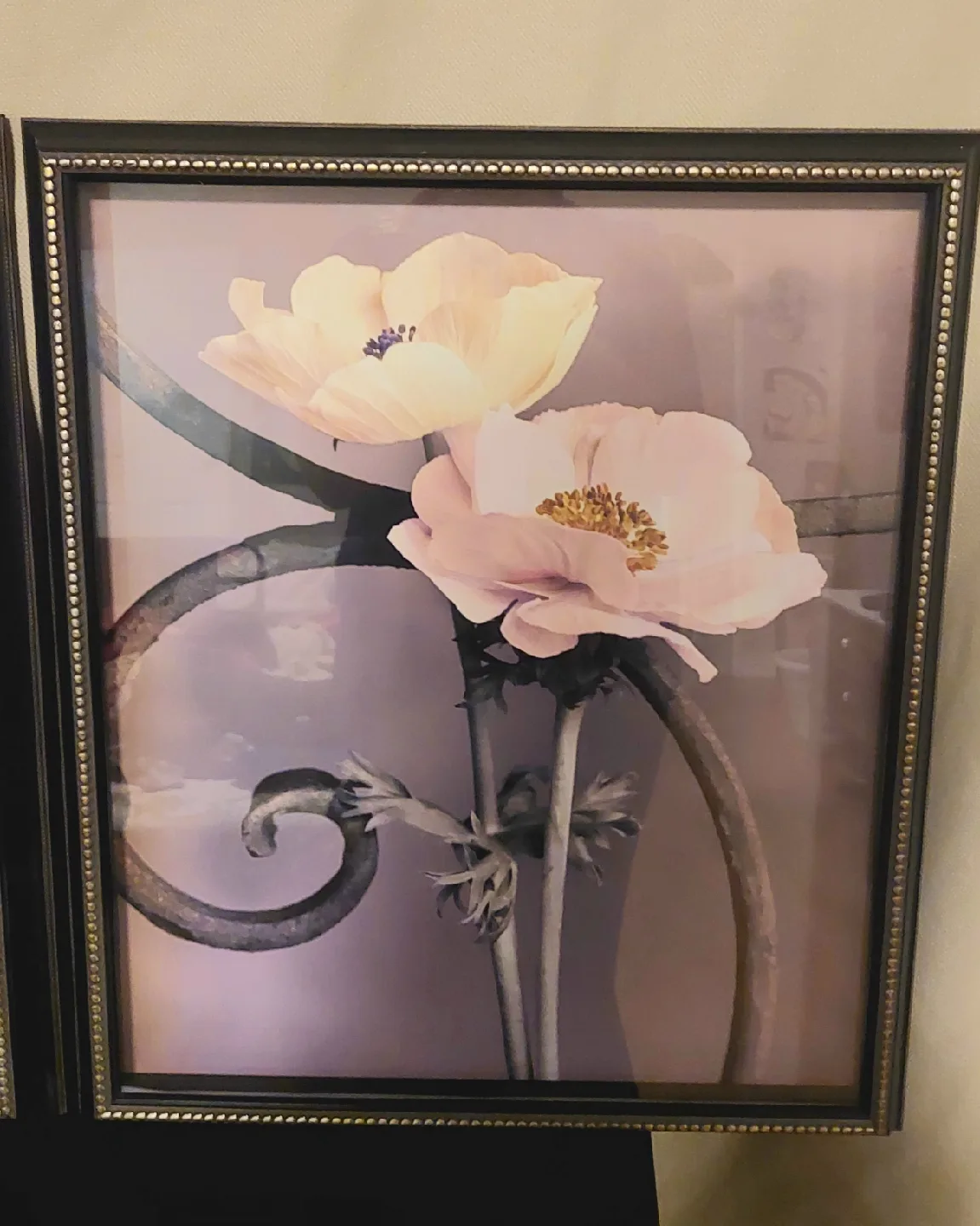 Framed Floral Prints - Set of Two image indicator(2)