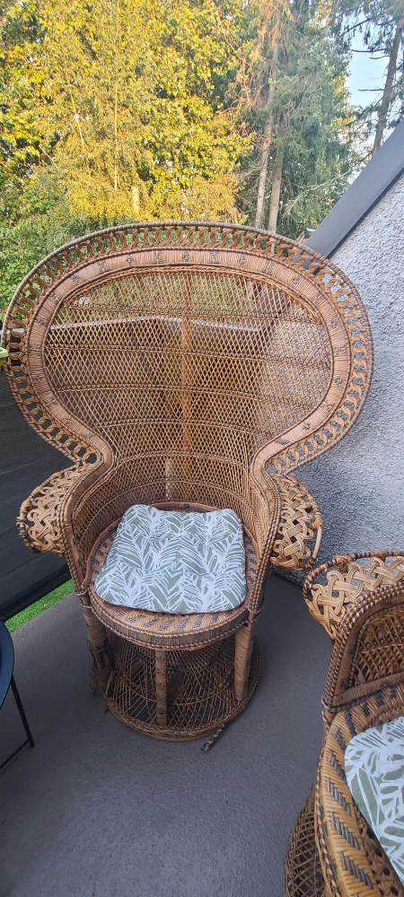 Wicker Peacock Chairs image indicator(3)