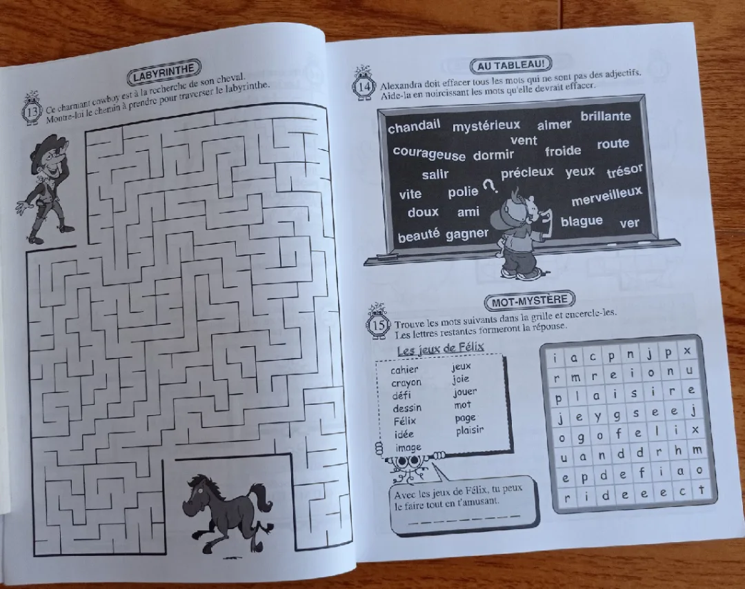 Le Grand Cahier de Félix activity book image indicator(3)