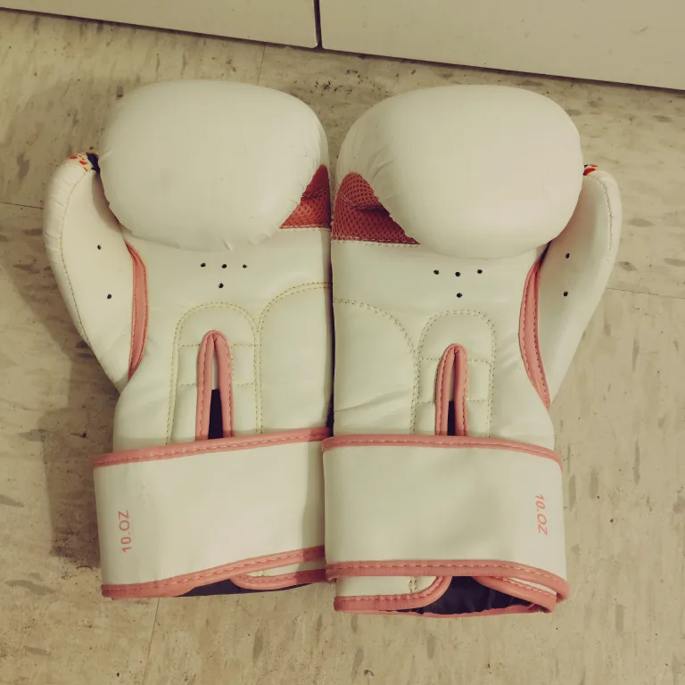 Hawk Boxing Gloves - 10 oz image indicator(3)
