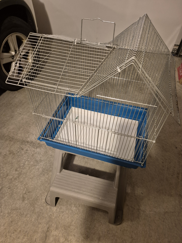 Bird Cage - Metal Wire Frame - photo 3
