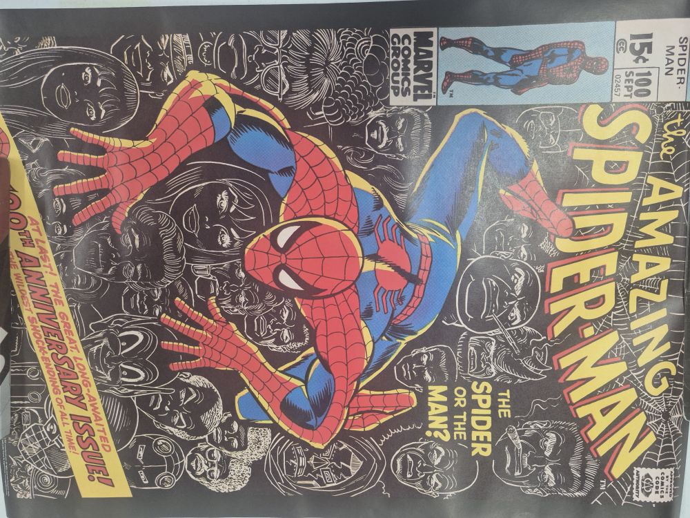The Amazing Spider-Man Comic Book Poster