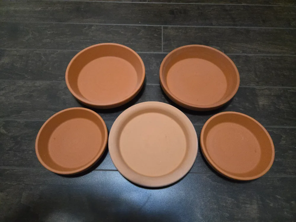 Terracotta Plant Saucers (Set of 5) thumbnail