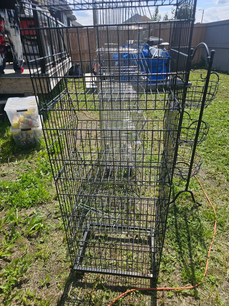 Black Metal Wire Basket Stand image indicator(4)