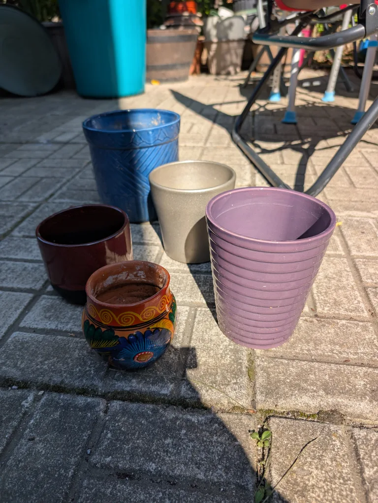 lot of 5 plant pots image indicator(2)