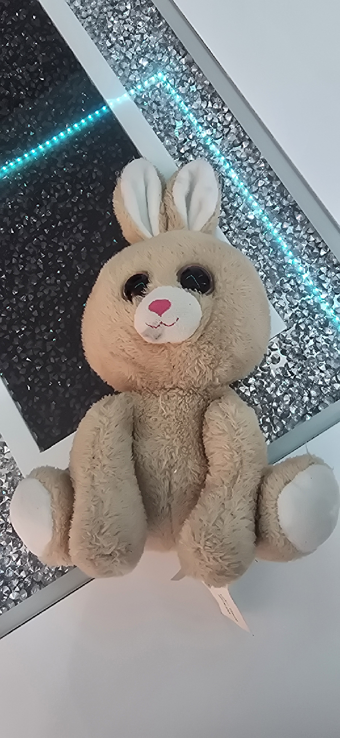 Cute Plush Bunny