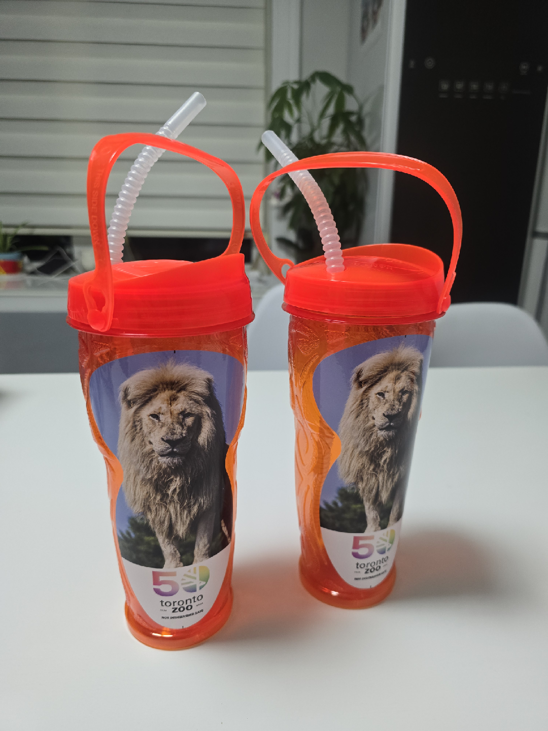 Toronto Zoo Animal Cup Reusable Bottle - photo 3