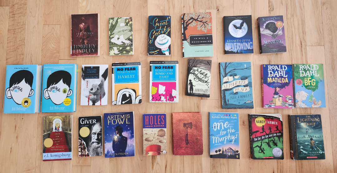Lot of Assorted Books (for school)