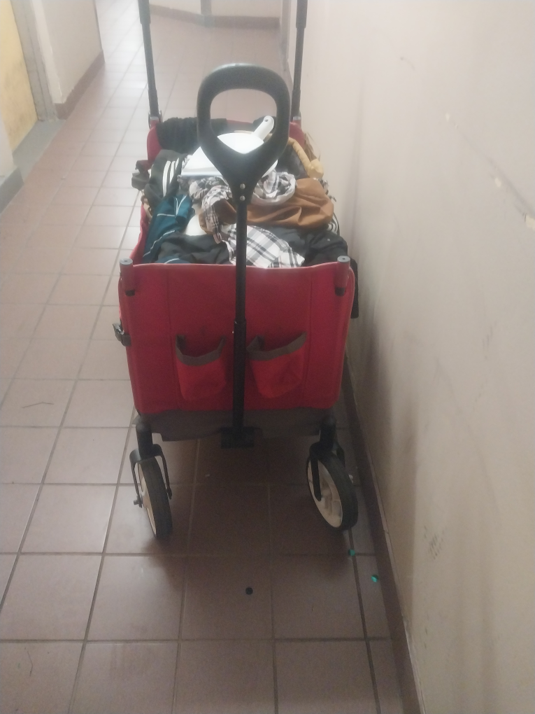 Radio Flyer Red Wagon - photo 3
