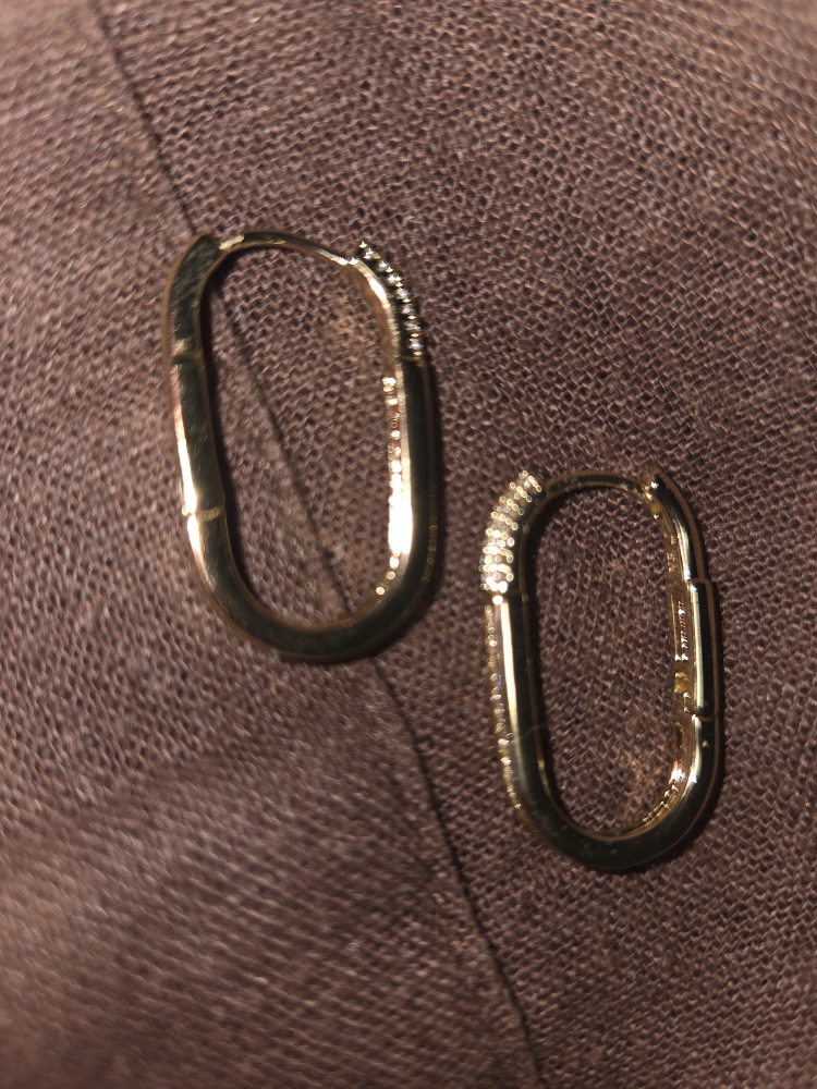 stainless gold coated Tone Earrings