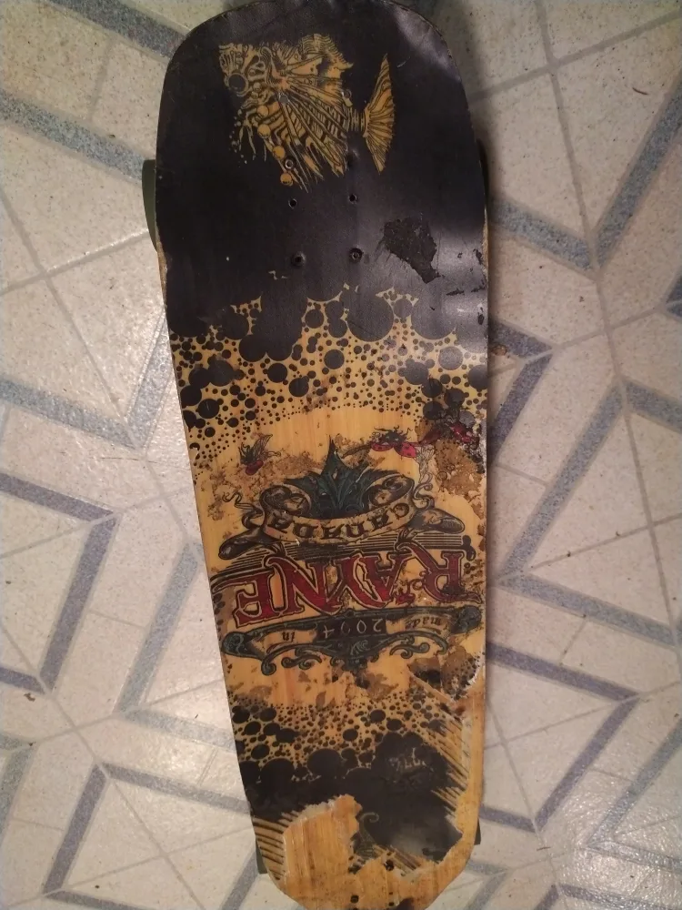 Rayne Longboard Skateboard image indicator(2)