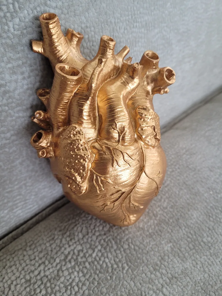 Anatomical Heart Model - Gold Colour image indicator(7)