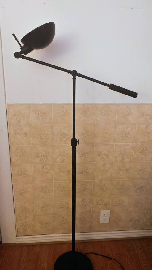 Shraga 61'' Task Floor Lamp