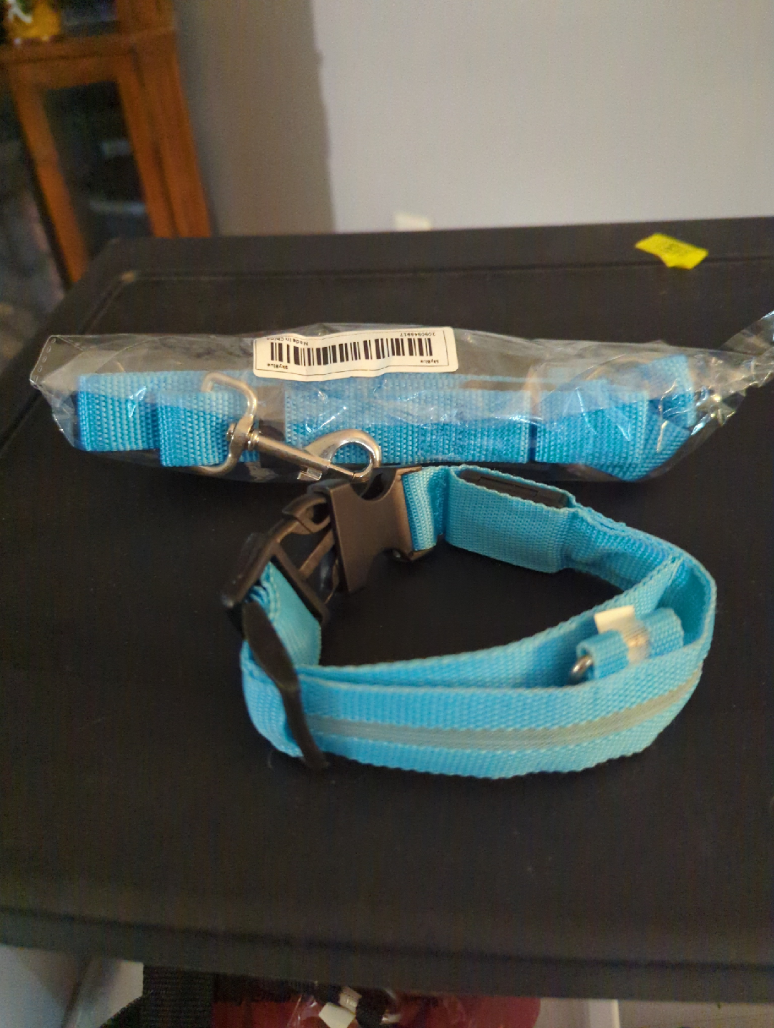 Blue Dog Collar & Leash Set - Size Small