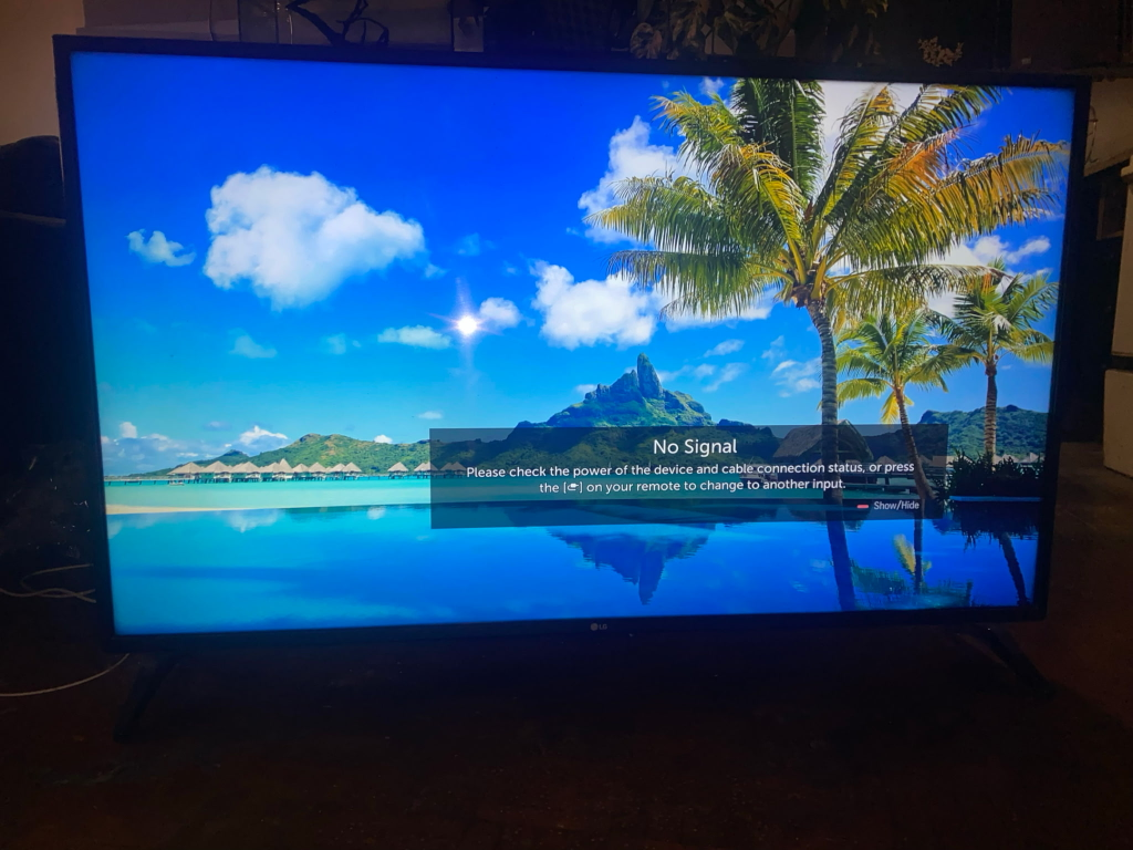 LG 49" Flat Screen HD - photo 3
