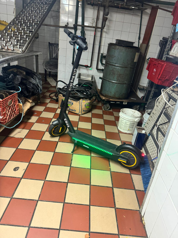 Citi Bug 3613 EB09 Electric Scooter - photo 2