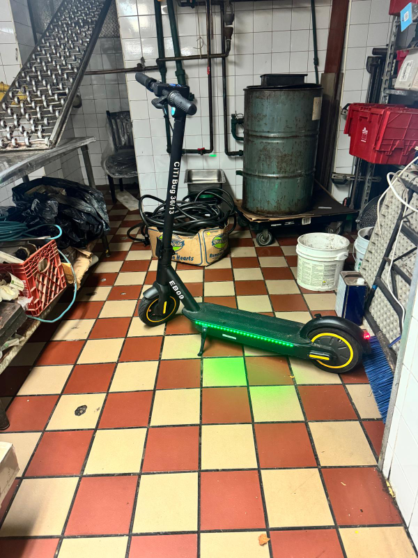 Citi Bug 3613 EB09 Electric Scooter - photo 3