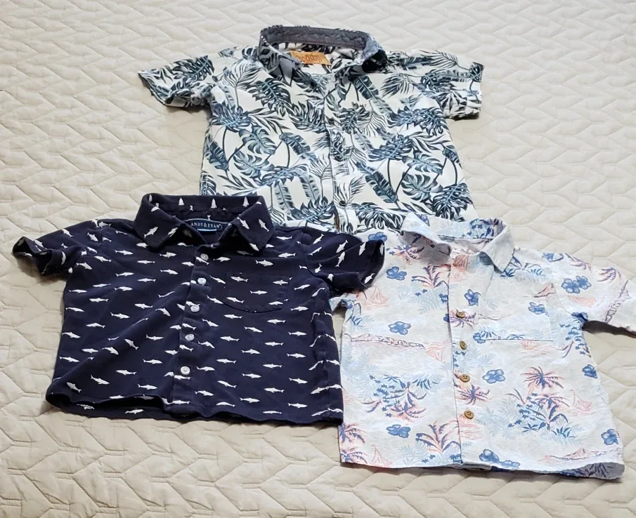 🥕Toddler Shirts Bundle thumbnail