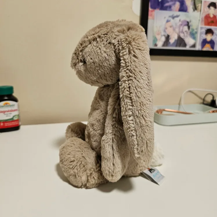 Jelly Cat Small Bunny image indicator(2)