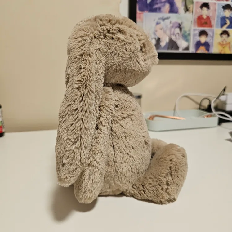 Jelly Cat Small Bunny image indicator(4)