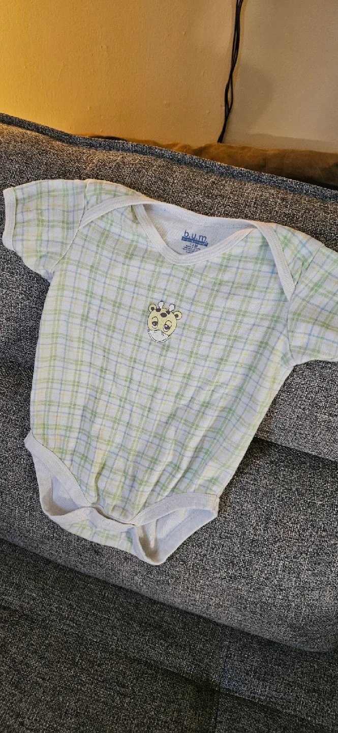 Baby Onesies - Simple Joys, Place, B.U.M. - 3-6 Months image indicator(5)