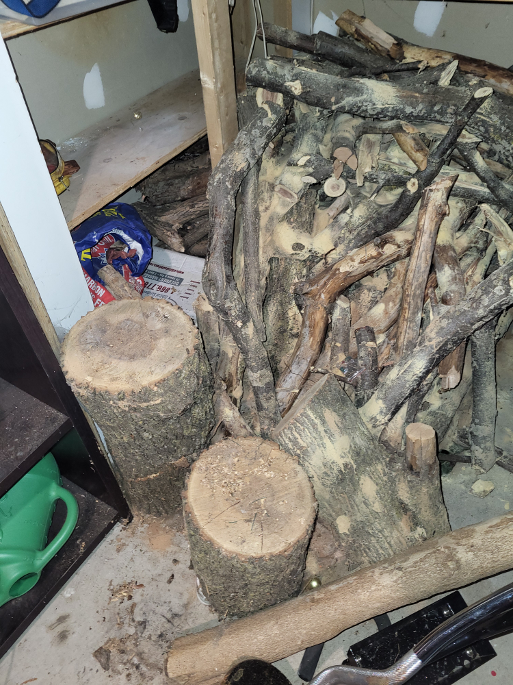 Firewood - Ready to Burn