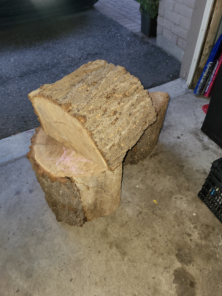 Firewood - Ready to Burn - photo 2