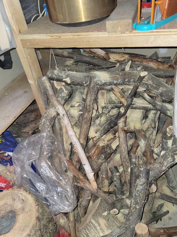 Firewood - Ready to Burn - photo 3